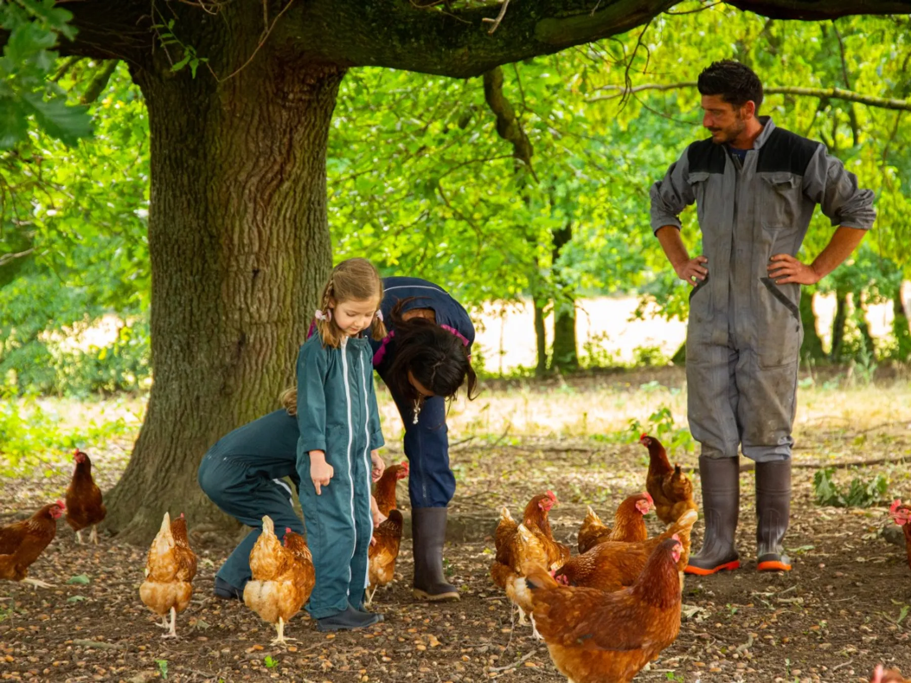 Découvrez un élevage de poules et repartez avec des œufs frais - Image n°2 - Wecandoo