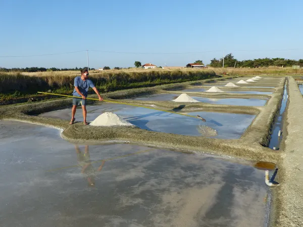 Wecandoo - Visitez des salines et récoltez votre fleur de sel