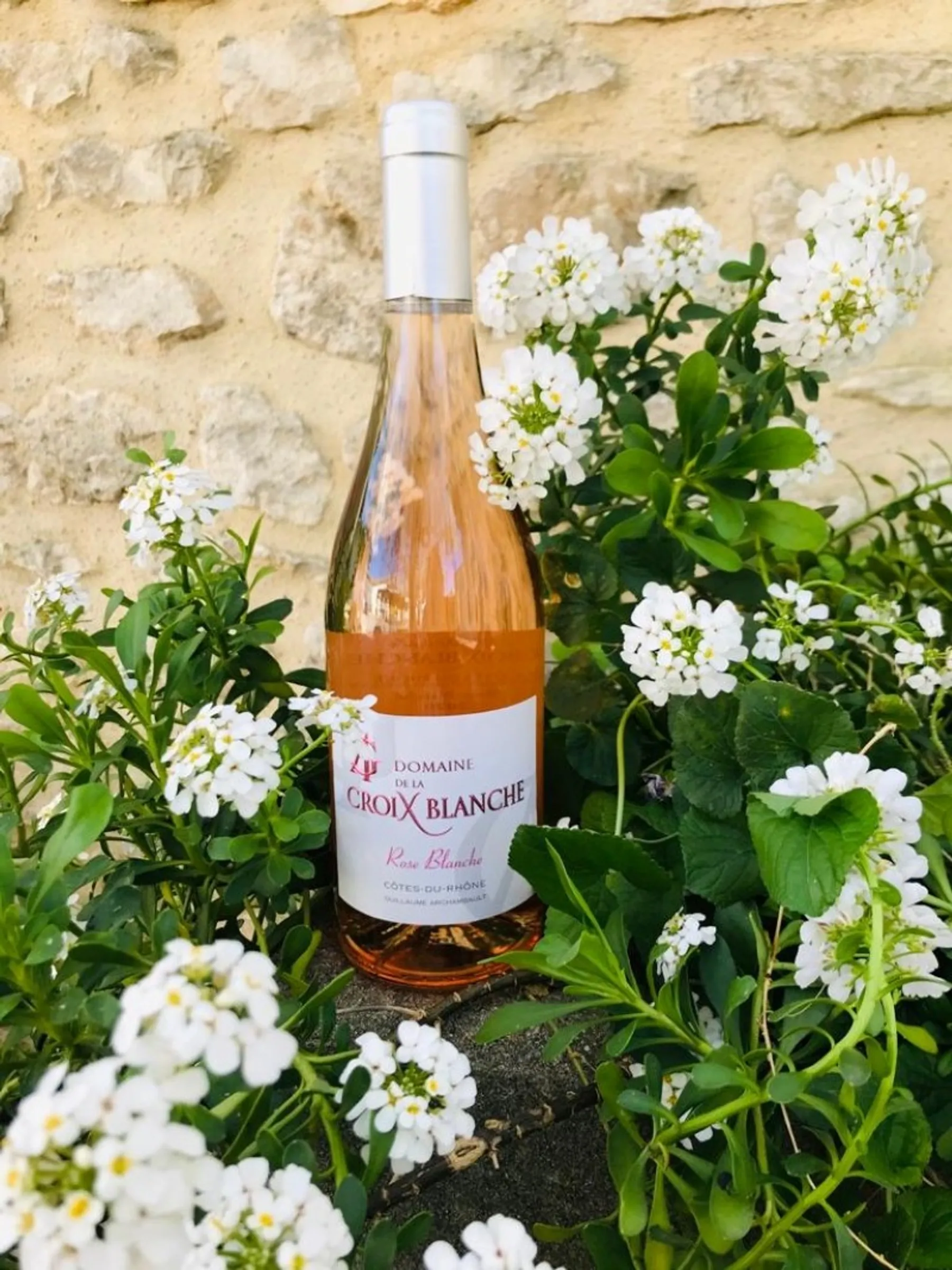 Visitez un caveau du domaine et dégustez ses vins - Image n°2 - Wecandoo