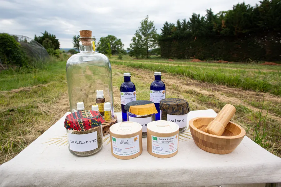 _62A0075.jpg - Wecandoo