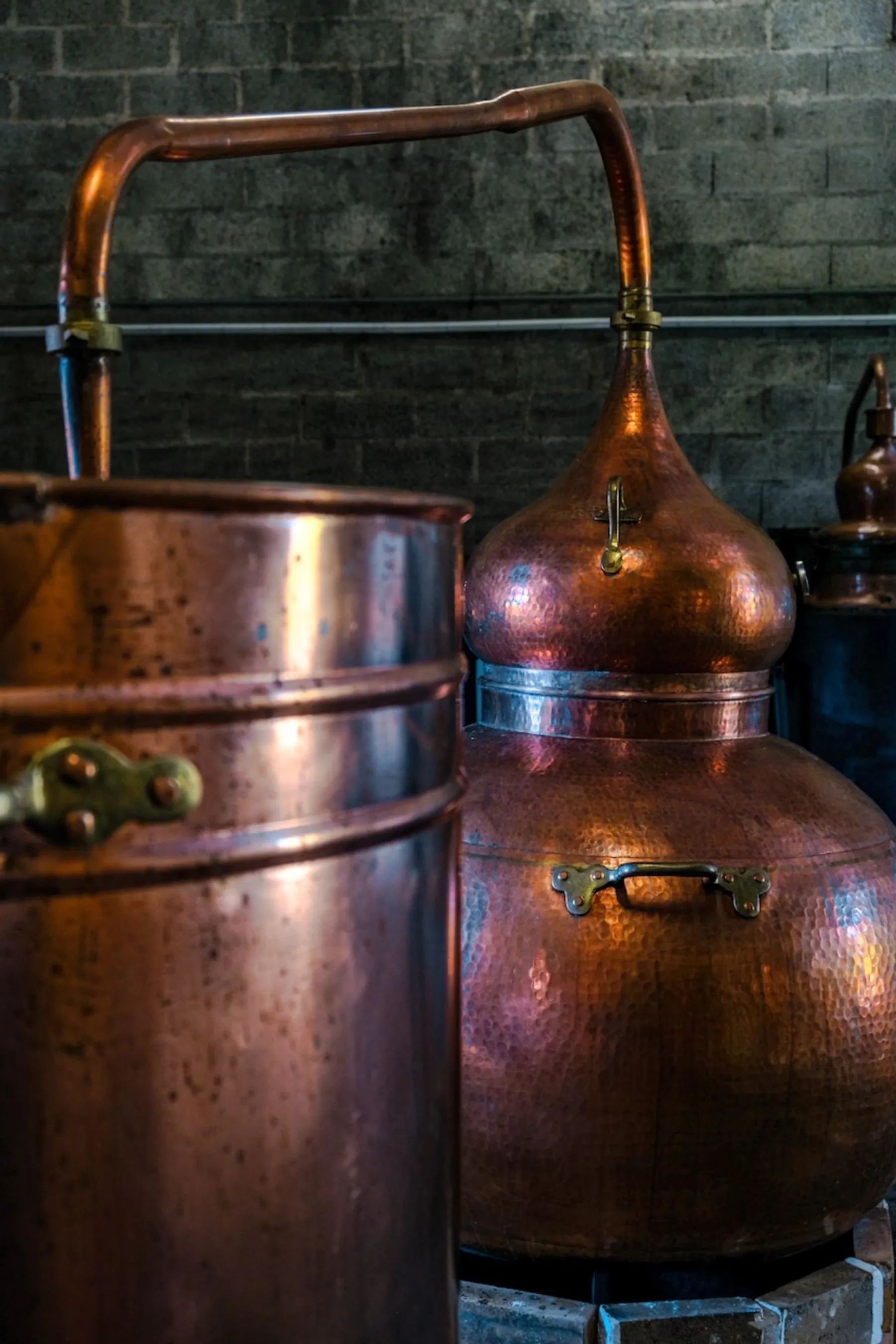 Distillez votre whisky - Image n°5 - Wecandoo