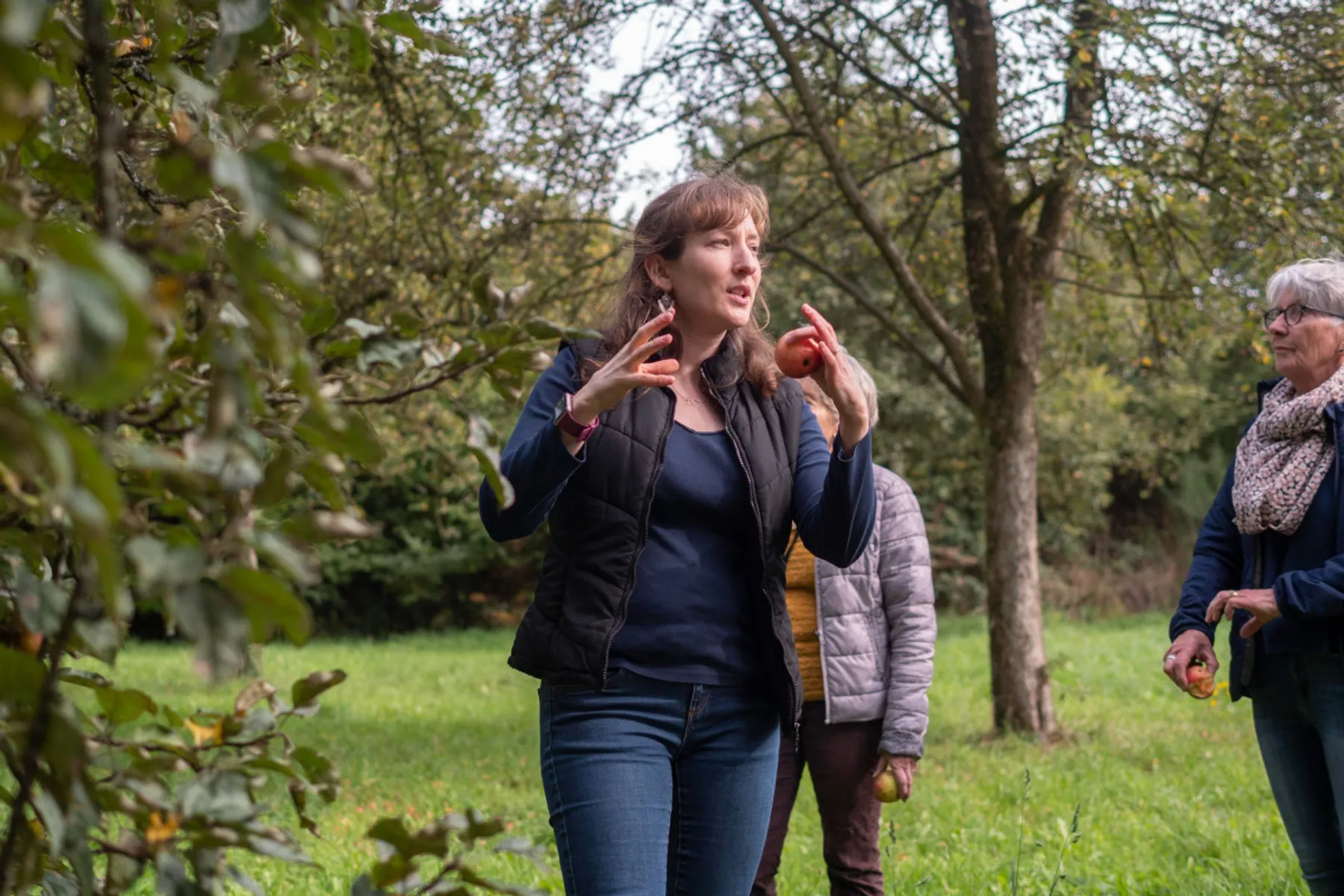 Dégustez du cidre artisanal - Image n°2 - Wecandoo