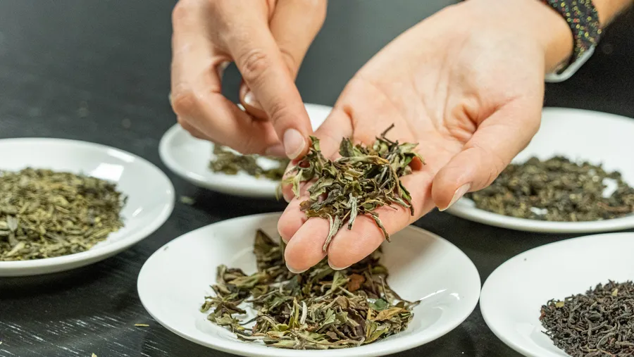 Initiez-vous à la dégustation et l'assemblage du thé - Afbeelding nr. 1 - Wecandoo