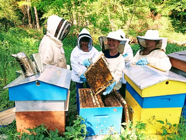 Découvrez l'apiculture - Image n°2 - Wecandoo