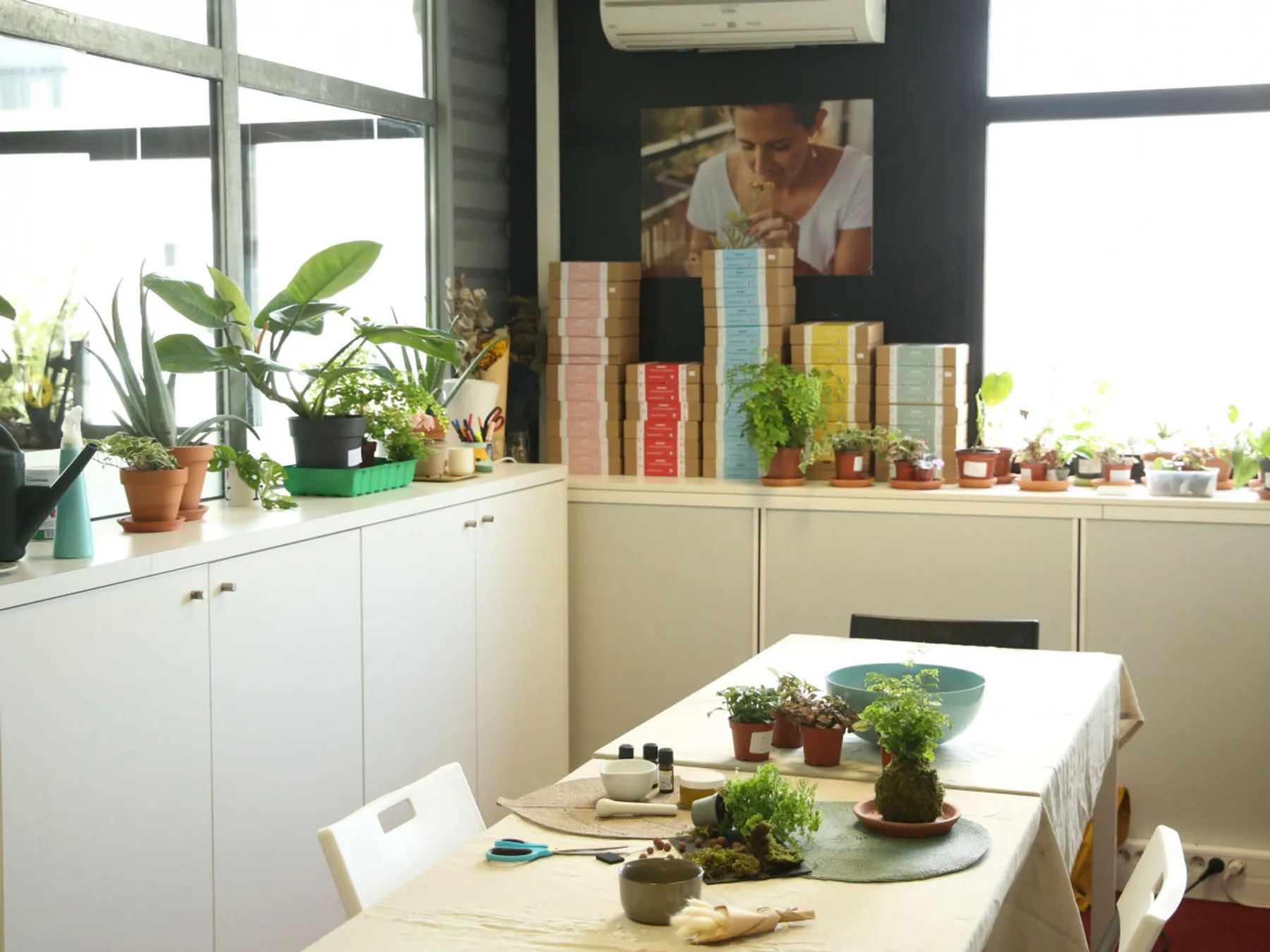 Réalisez votre kokedama - Image n°1 - Wecandoo