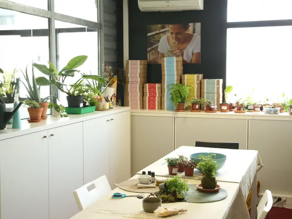 Réalisez votre kokedama - Image n°1 - Wecandoo