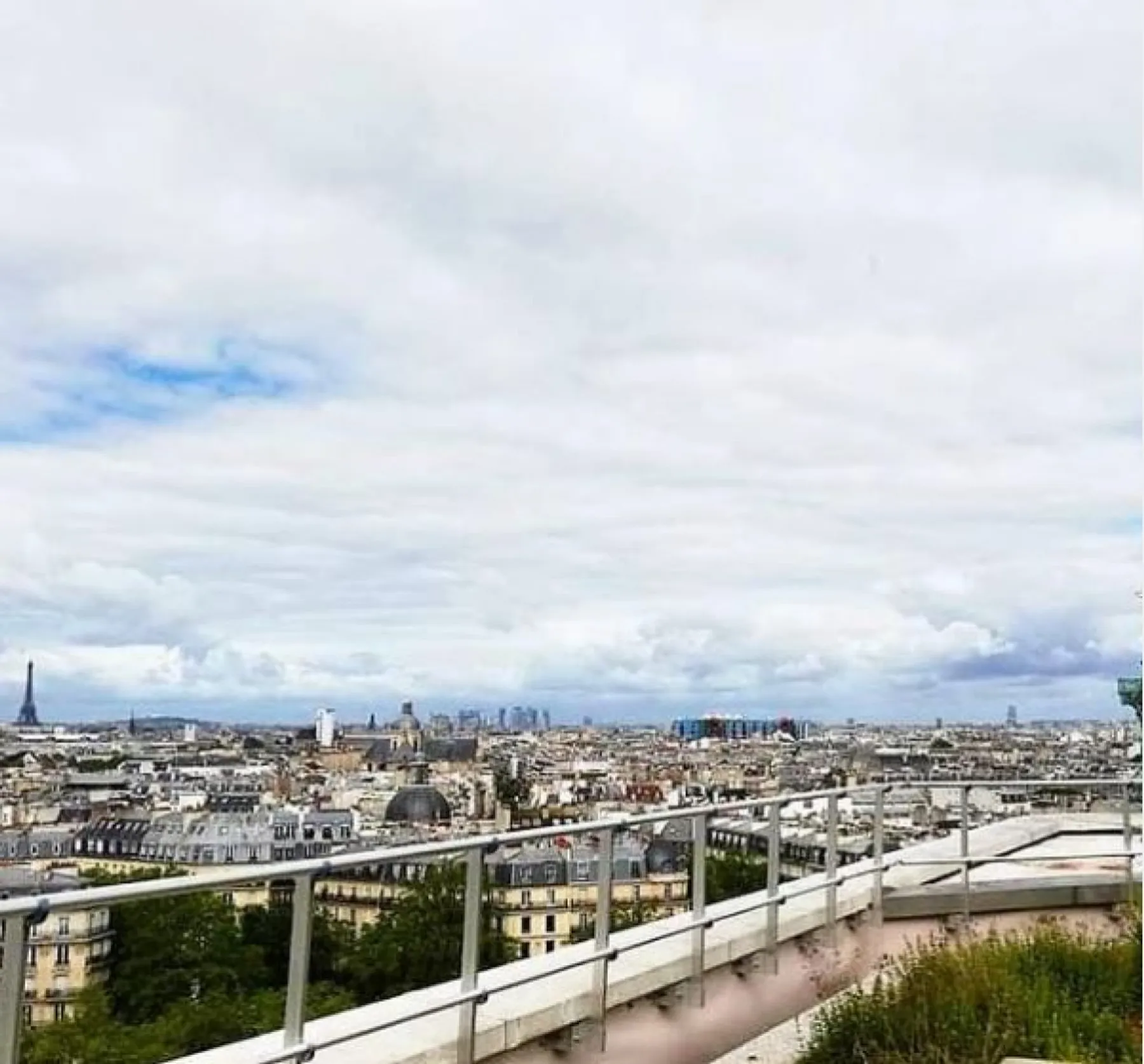 Visitez une safranière sur le toit de l'Opéra Bastille - Image n°1 - Wecandoo