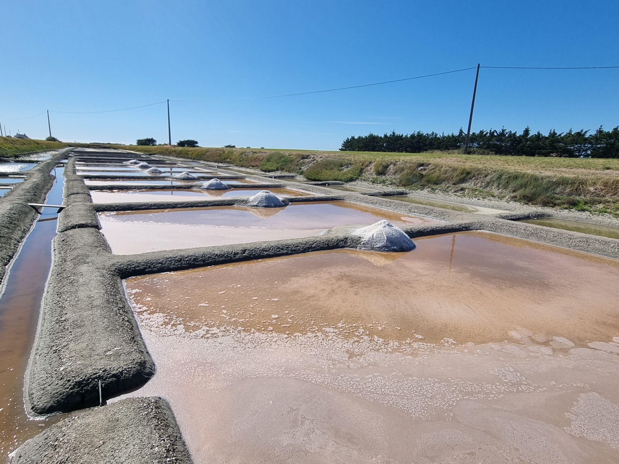 Wecandoo - Récoltez votre fleur de sel dans un marais salant - Image n°3