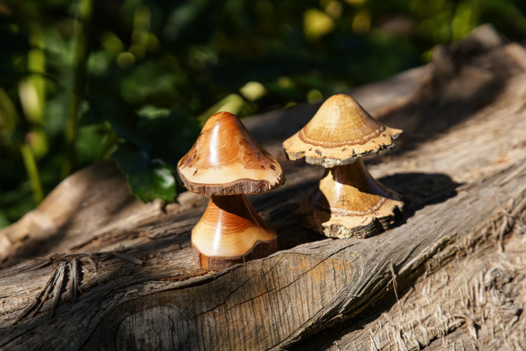 Ludovic-bourgeois - 83 - tourabois10.jpg - Wecandoo