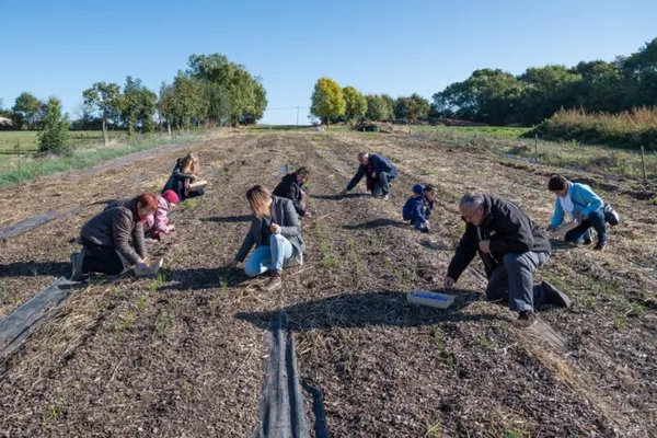 Récoltez votre safran - Image n°1 - Wecandoo
