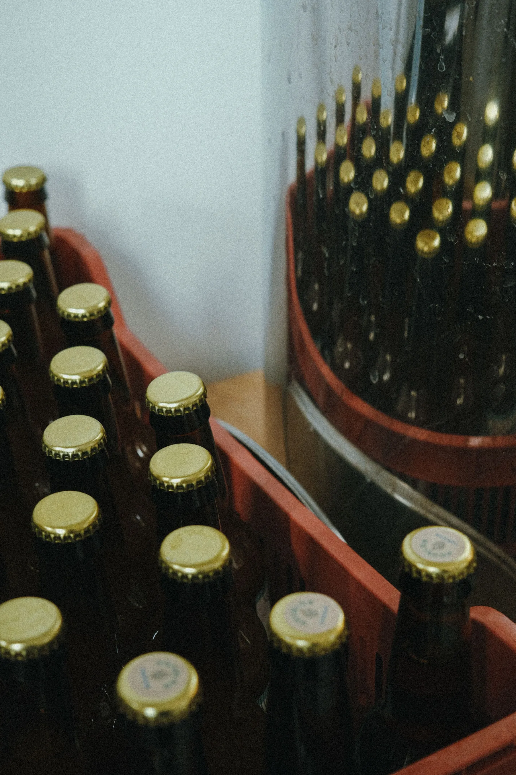 Brassez votre propre bière en duo sur une journée - Image n°2 - Wecandoo