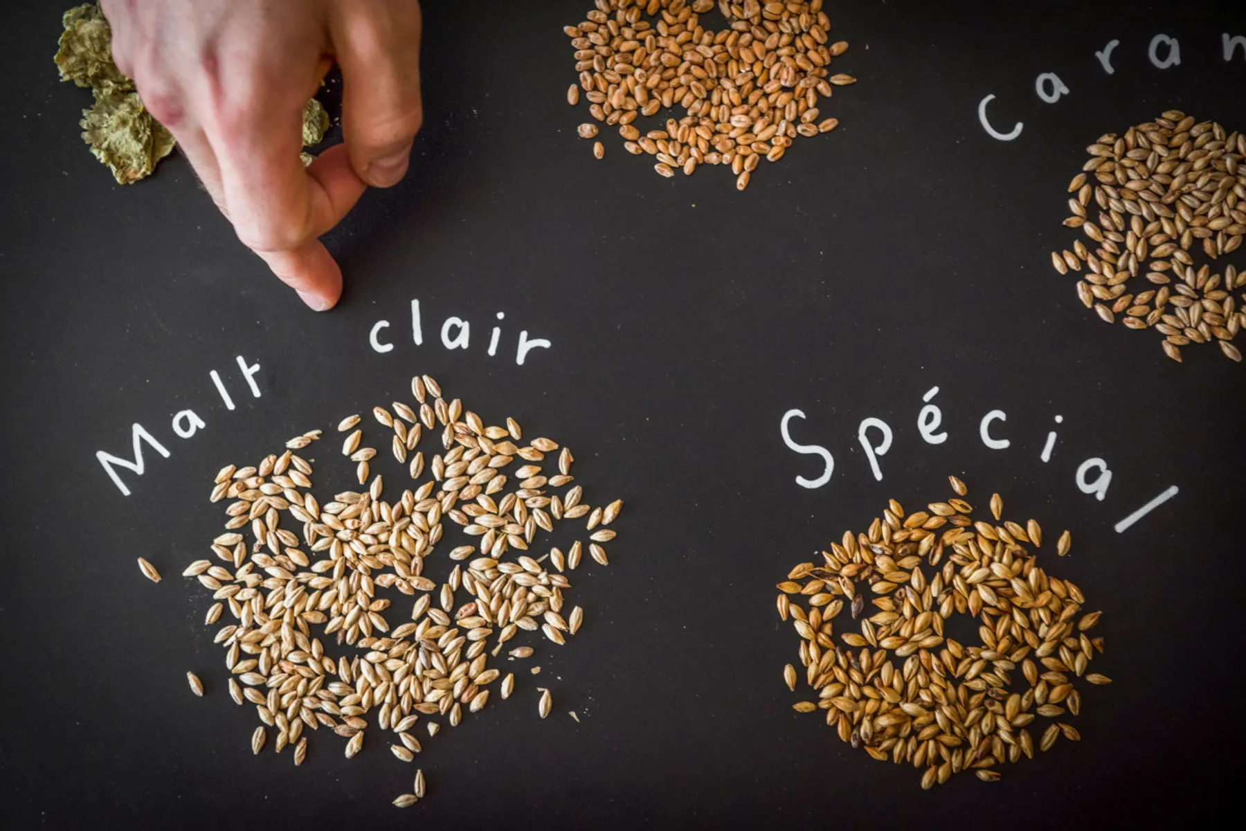 Brassez de la bière médiévale - Image n°1 - Wecandoo