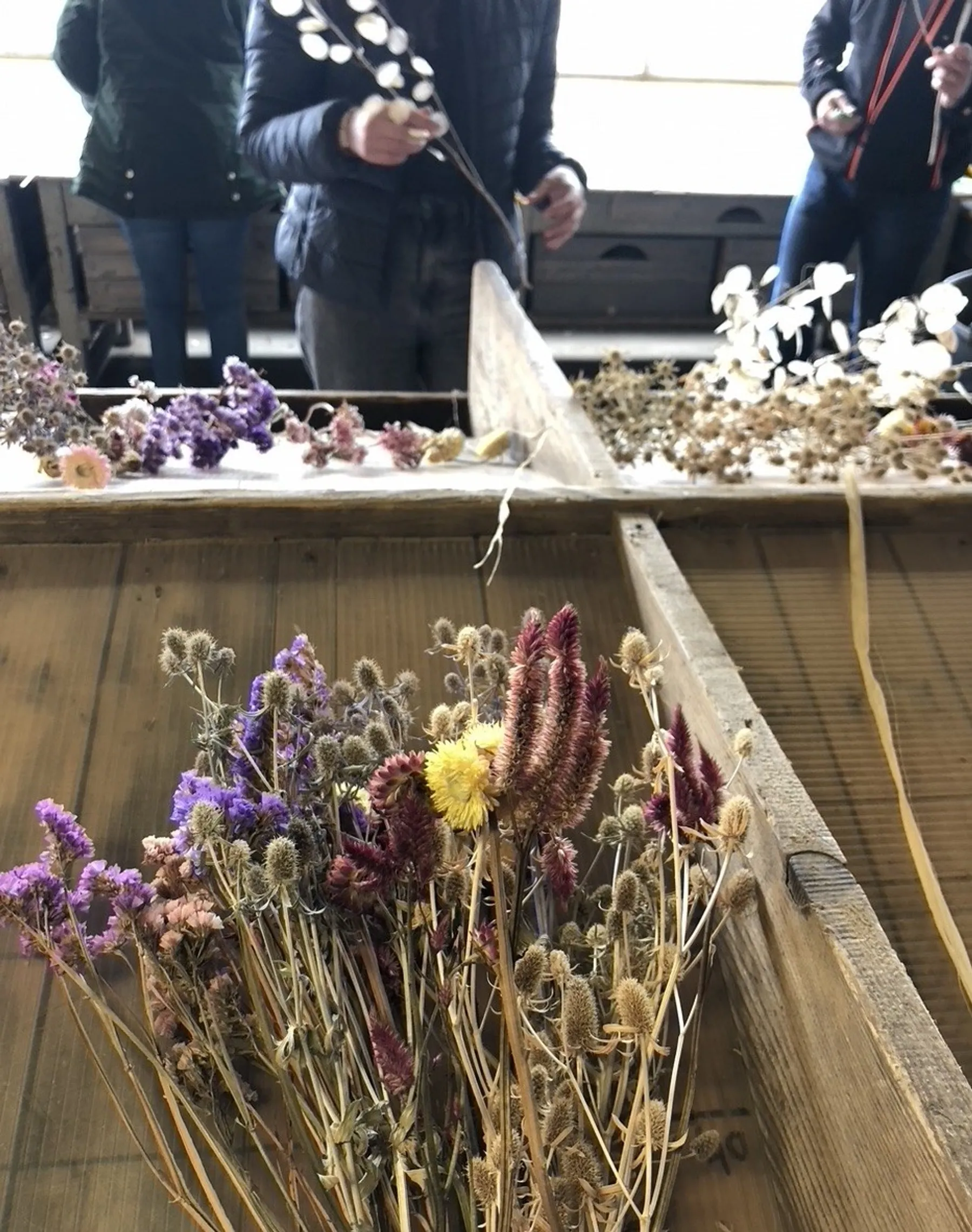 Réalisez votre création de fleurs séchées 100% locales - Image n°2 - Wecandoo