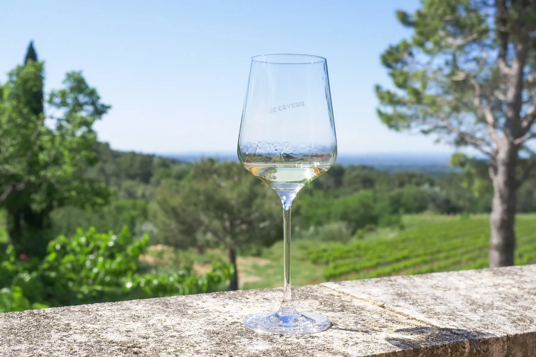 Visitez un domaine viticole et dégustez des vins - Image n°4 - Wecandoo