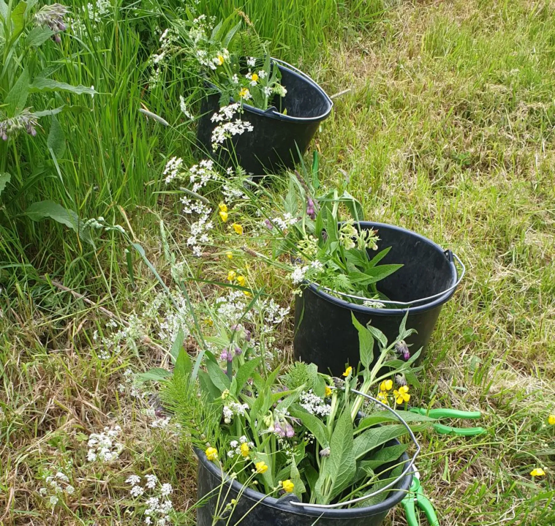 Réalisez votre bouquet de fleurs naturelles, locales et bio - Image n°1 - Wecandoo