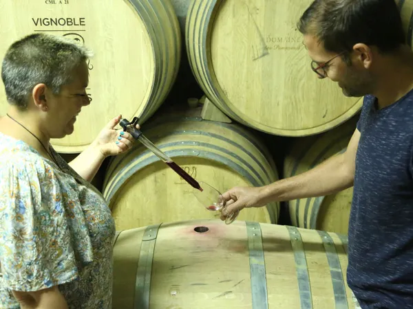 Wecandoo - Assemblez votre vin rouge