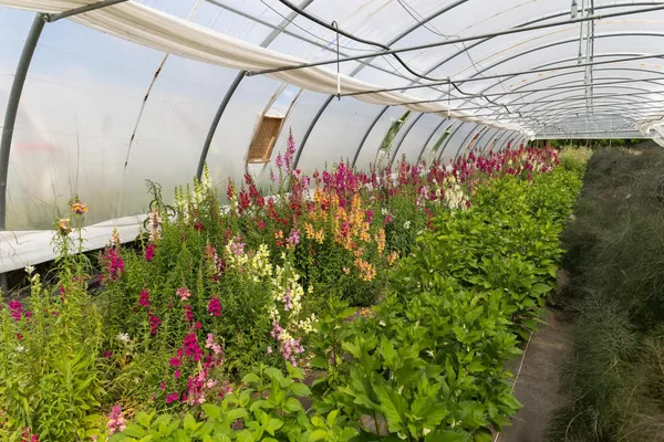 Créez votre couronne de fleurs séchées - Image n°1 - Wecandoo