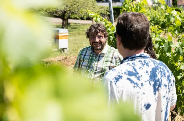 Visitez un vignoble bio et initiez-vous à la dégustation de vins alsaciens - Afbeelding nr. 3 - Wecandoo