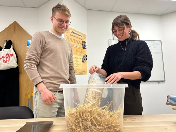 Apprenez à cultiver vos pleurotes - Image n°2 - Wecandoo