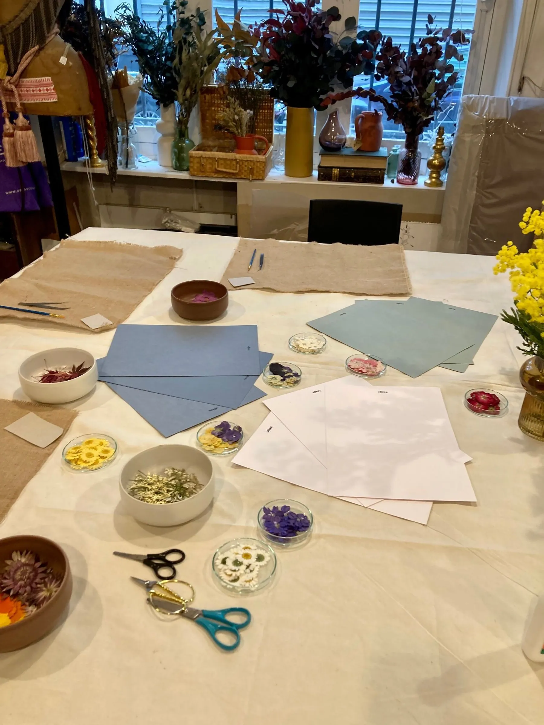 Composez votre herbier - Afbeelding nr. 1 - Wecandoo