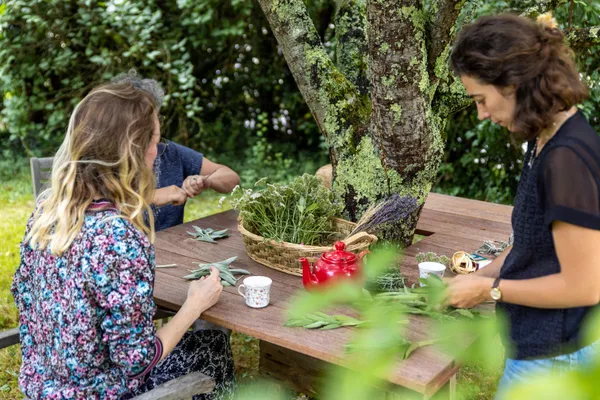 Créez votre bâton de fumigation à base de plantes - Image n°3 - Wecandoo