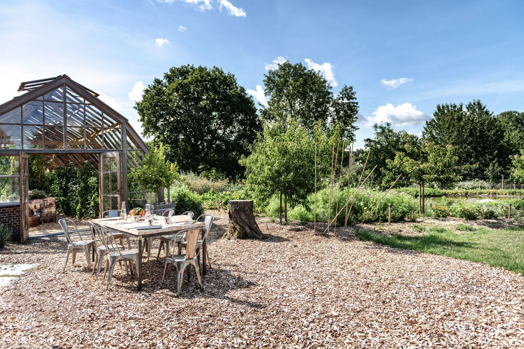 Pick your medicinal plants and concoct your natural tea or remedy - Image n°1 - Wecandoo