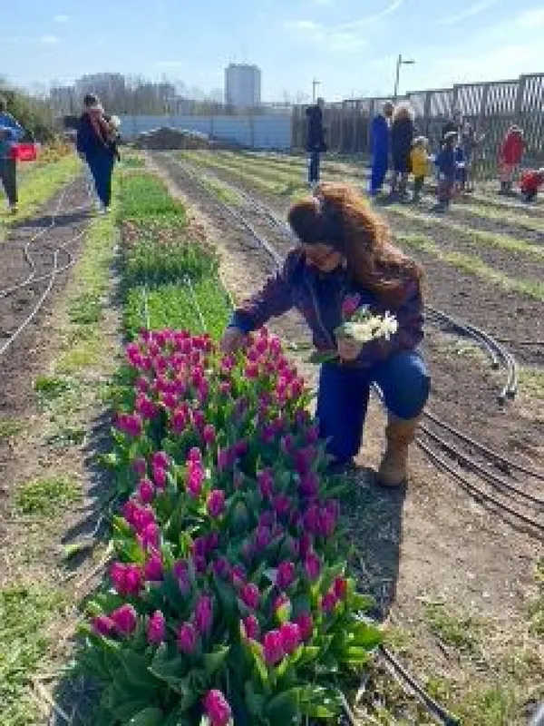 Visitez une ferme florale et découvrez la permaculture - Image n°3 - Wecandoo