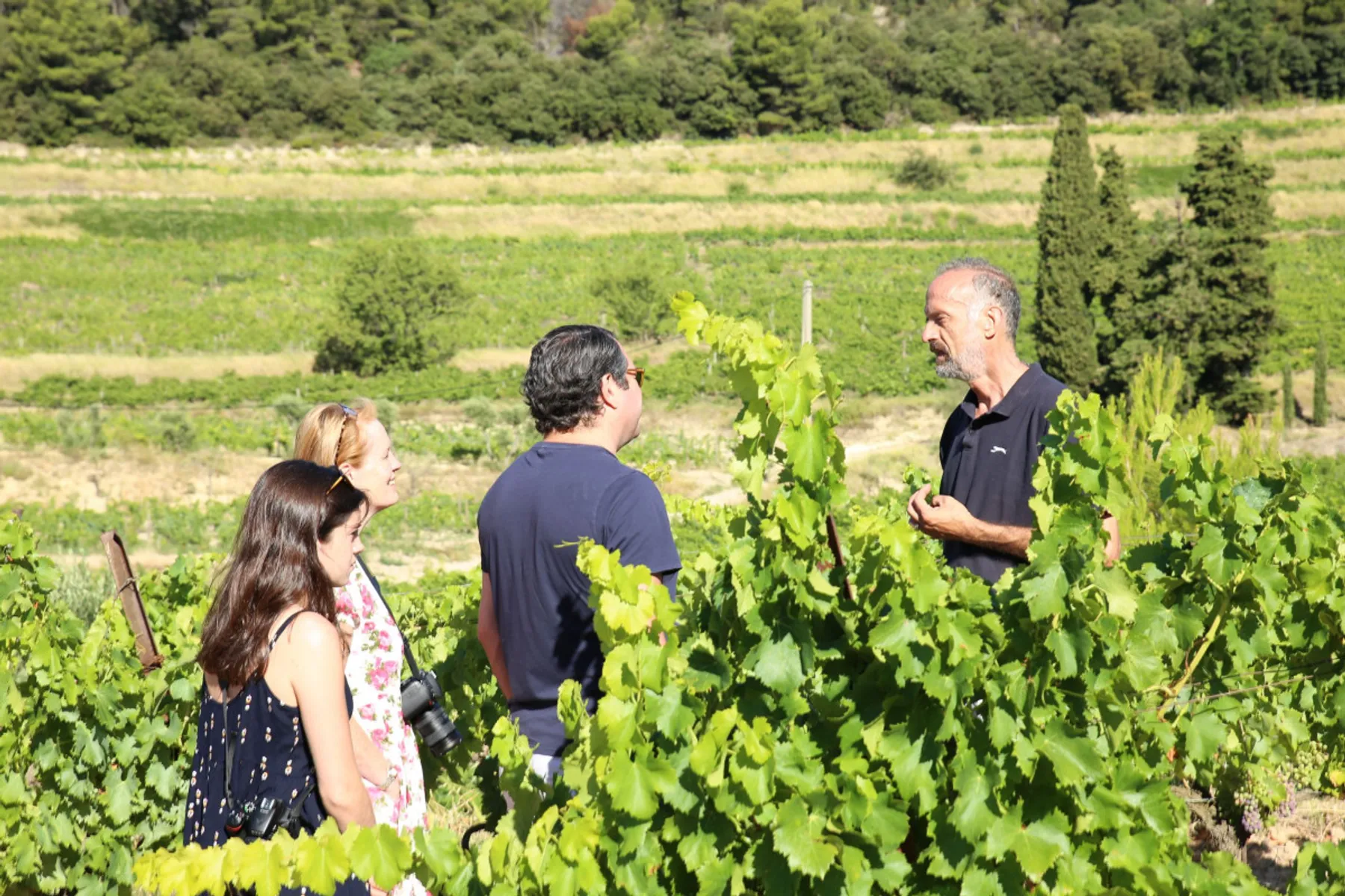 Visitez un domaine viticole et dégustez des vins - Image n°3 - Wecandoo