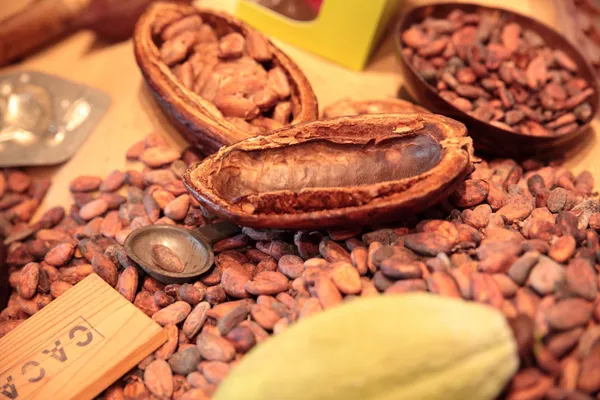 Initiez-vous à la chocolaterie - Image n°1 - Wecandoo