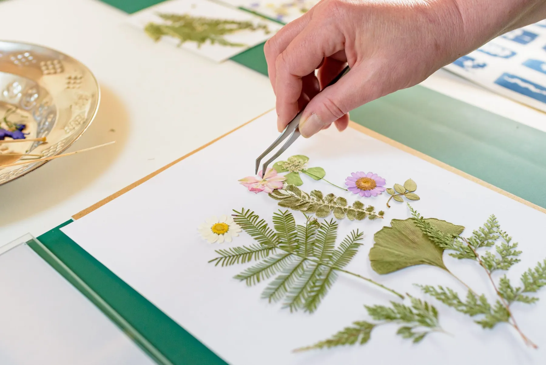 Initiez-vous au cyanotype - Image n°2 - Wecandoo