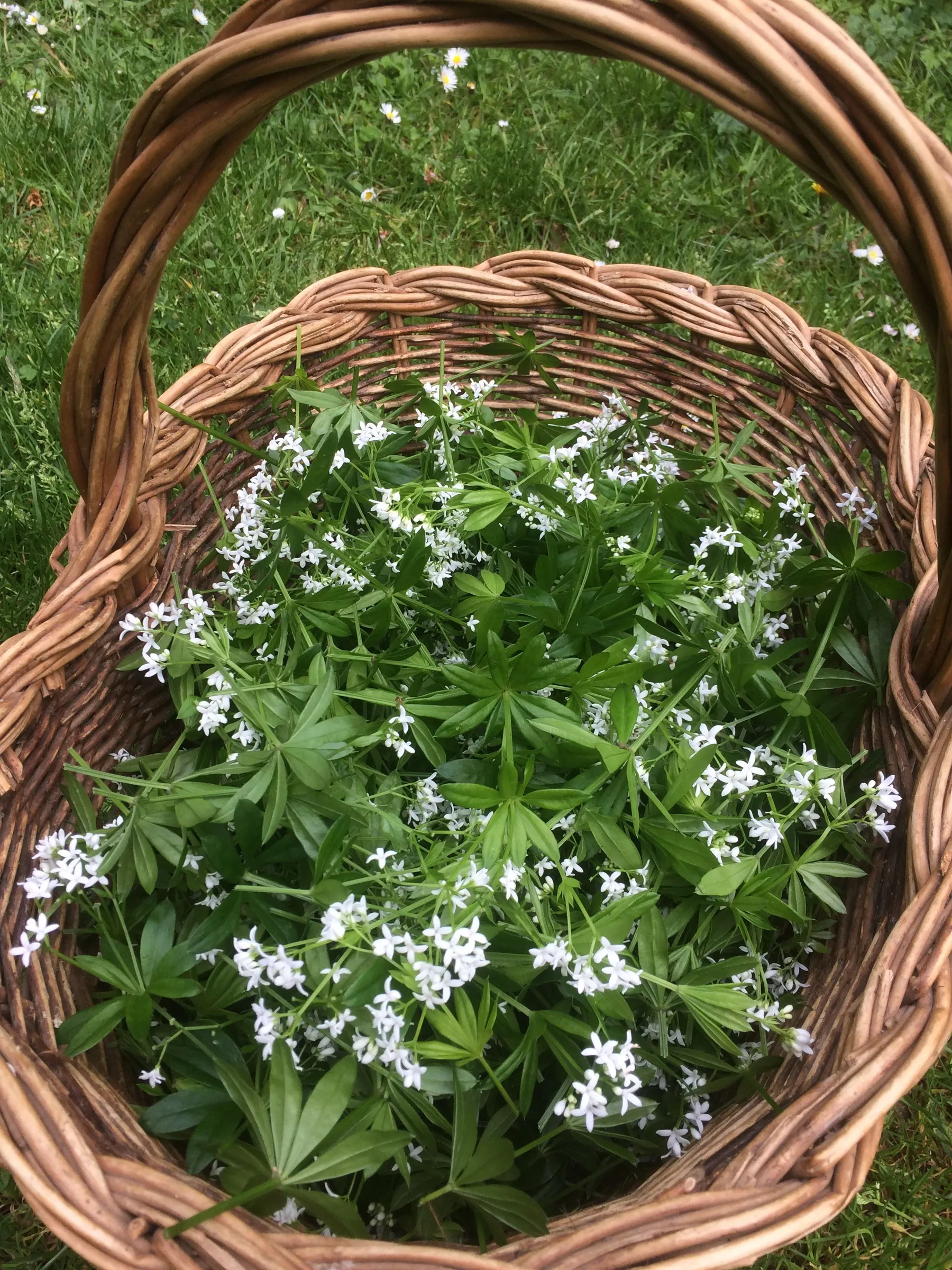 Initiez-vous à la permaculture - Image n°1 - Wecandoo