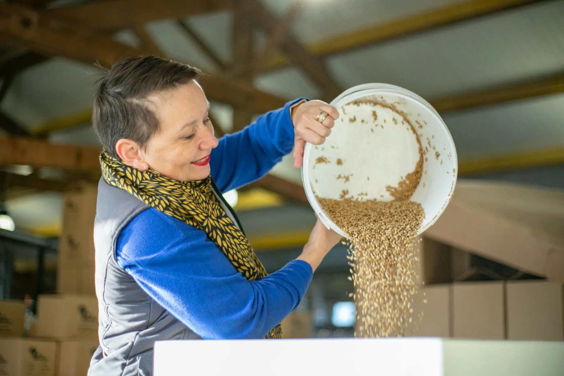 Brassez votre bière artisanale - Afbeelding nr. 1 - Wecandoo