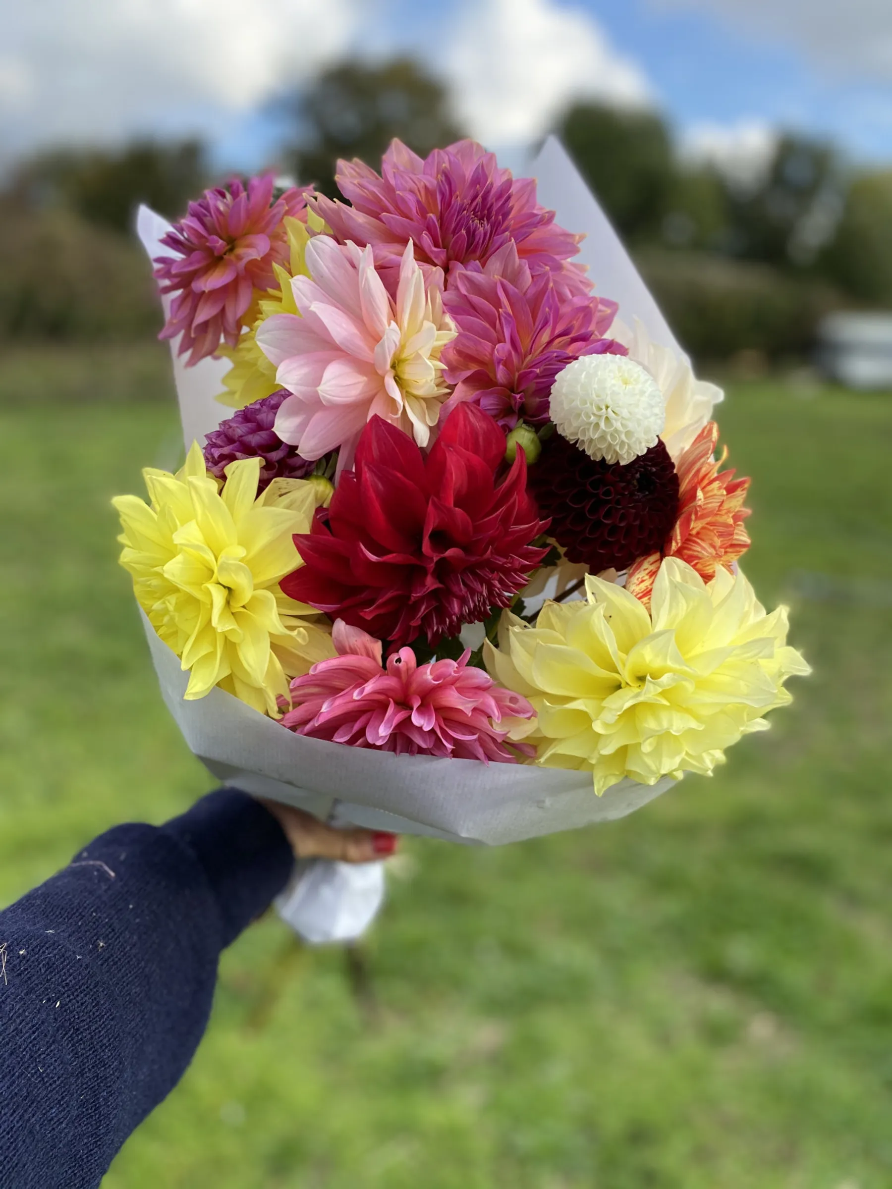 Composez votre bouquet de fleurs fraîches à la ferme florale - Image n°2 - Wecandoo